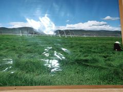 -银同牦牛肉火锅