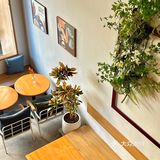 佛山探店｜简约ins风的凯茵斯咖啡西餐店☕
