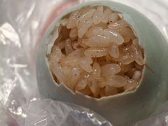 -琼海·狮椰美食楼