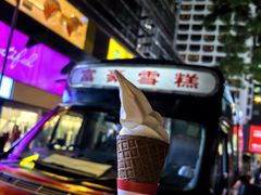 -富豪雪糕车流动点(尖沙咀店)