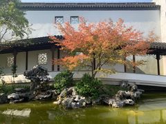 -秋霞圃