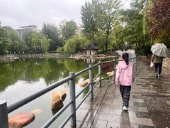 -莲湖公园