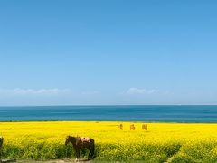 -青海湖国家重点风景名胜区
