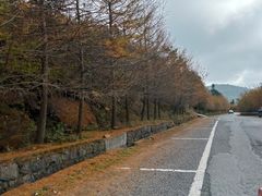 -东白山