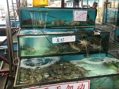 -旗鱼海番村(Orang Asli)