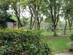 -上海海湾国家森林公园