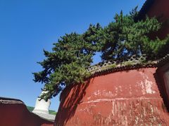 -五台山风景名胜区-罗睺寺