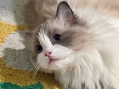 -美联众合24小时·皮肤科·外科·全科诊疗中心(华苑分院)