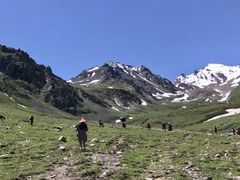 -新疆那拉提国家旅游度假区