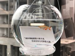-知美术馆