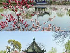 -无锡蠡湖国家湿地公园-蠡园