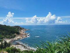 -广东惠东海龟国家级自然保护区