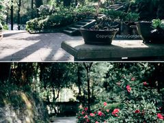 -南山植物园
