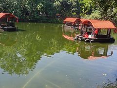 -侨美·唐荔园·40年地道粤菜