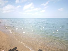 -青海湖国家重点风景名胜区