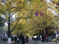 -四川大学(华西校区)