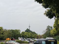 -铁山坪森林公园