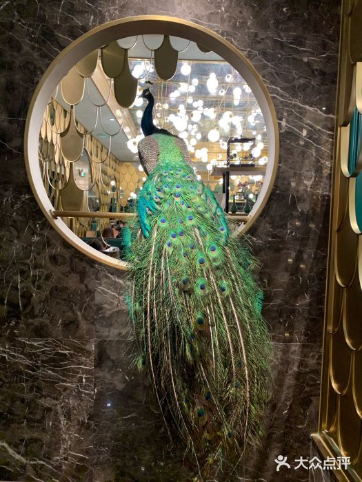 雀蓝川菜(奥体广场店)图片