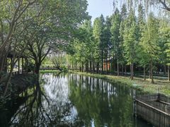 -溱湖国家湿地公园