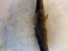 -神憩宾馆-餐厅