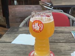 -Boxing Cat Brewery拳击猫精酿啤酒馆(永福店)