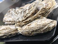 -大富蚝乌东哥饭店·石锅鱼杂·柠檬鸭(革新路店)