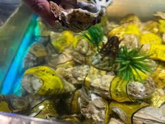 -V-ONE西雅图海鲜自助餐厅(仓山万达广场店)