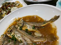 小黄鱼-温岭人家(红花北路店)