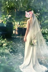 点击看大图 -帆拉斐婚纱摄影(春熙店)