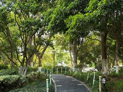 -常州古运河南大街文化旅游区-人民公园