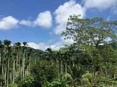 -海南槟榔谷黎苗文化旅游区