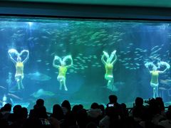 -海合安成都极地海洋公园