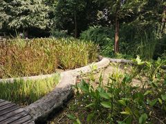 -成都市活水公园