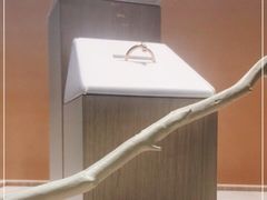 -Tiffany & Co.蒂芙尼
(广州太古汇店)