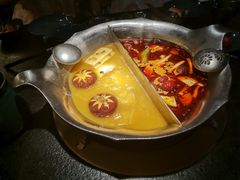 台式麻辣花胶鸡鸳鸯锅-湊湊火锅·茶憩(世博大道店)