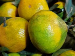 -重百超市(鲁能星城店)