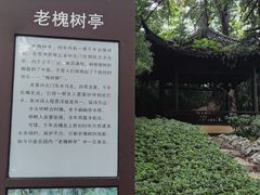 -泰州凤城河风景区-泰山公园