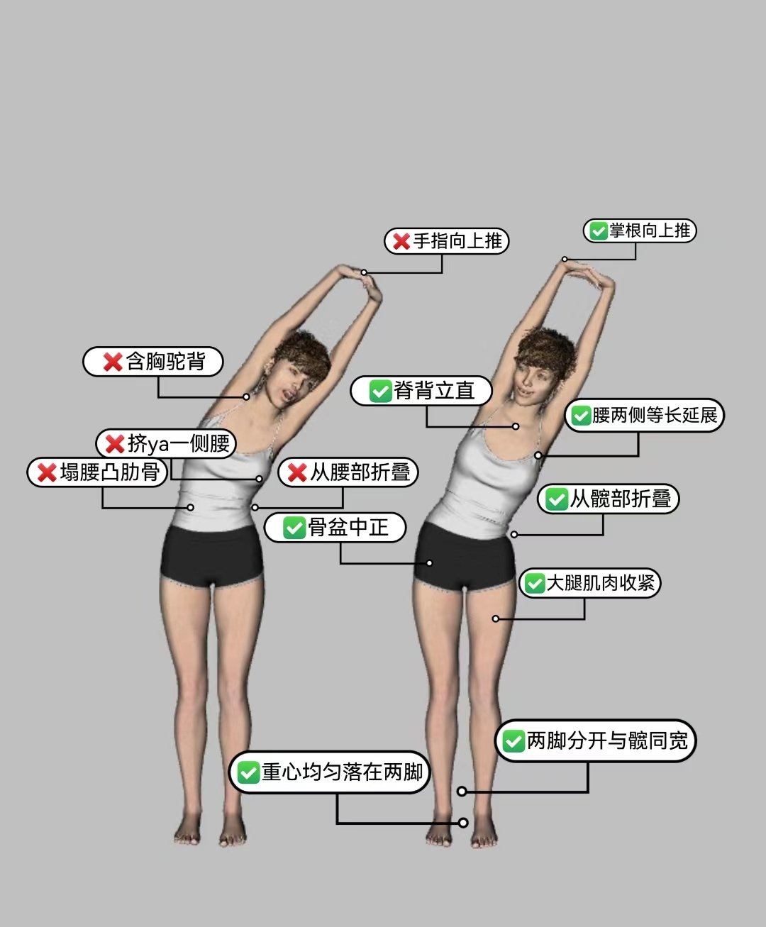 风吹树式的讲解图片