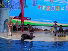 -三亚海昌梦幻海洋不夜城