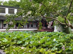-上海醉白池公园
