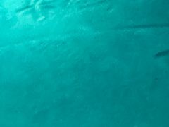 -白鹤梁水下博物馆