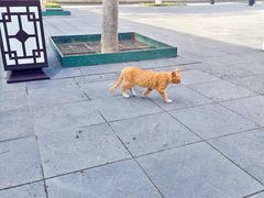 -万寿八仙宫