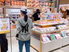 -line friends(明洞旗舰店)