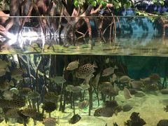 -福州罗源湾海洋世界旅游区