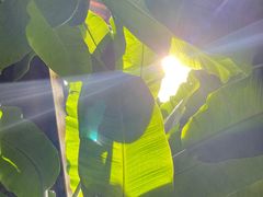 -驿舍·民國老营房院子私房菜(科学会堂店)