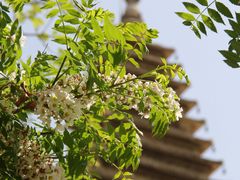 -北京石刻艺术博物馆