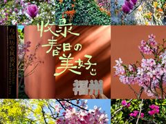 -乌山风景区