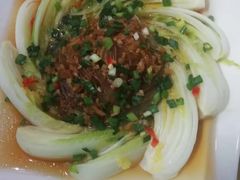 -大班家政月嫂育儿嫂(深圳NO.1店)