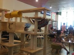 大堂-喵匠猫主题咖啡(凯德和平广场店)