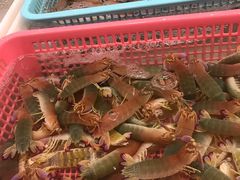 -老字号蛇口德记烧腊饭店·海鲜加工